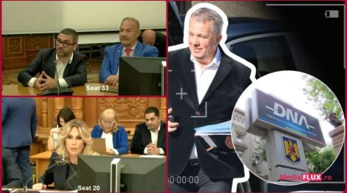 Florin Manole a scos o la tablă pe Raluca Turcan la audierile pentru Ministerul Muncii după dezvăluirile Mediaflux privind Inspecția Muncii. Ce a răspuns deputatul PNL | Video