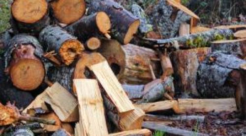 Județul în care sute de familii și persoane singure vor primi lemne gratis pentru încălzire
