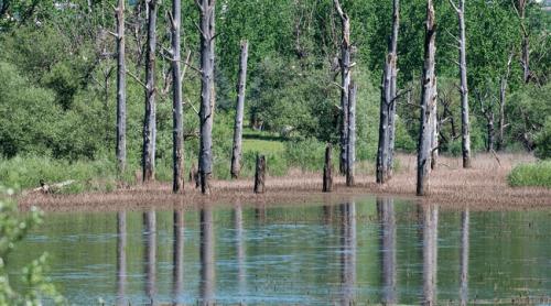 Lacul care dispărea complet și apoi reapărea. Explicația unui fenomen care i a uimit pe localnicii unui sat și a dat naștere unei legende