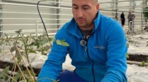 Leguma care nu lipseşte de pe masa românilor de Sărbători. Cultivată în România, chiar şi iarna
