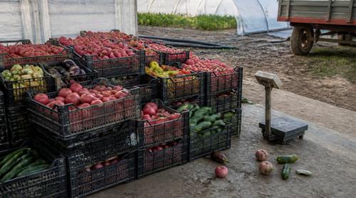 Legumicultorii vând sub costurile de producție în 2026. Ion Păunel spune că anul este „catastrofal”