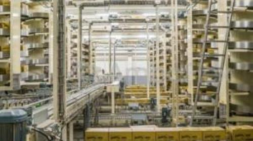 O nouă fabrică se deschide în România. Gigantul olandez are putea angaja 250 de muncitori