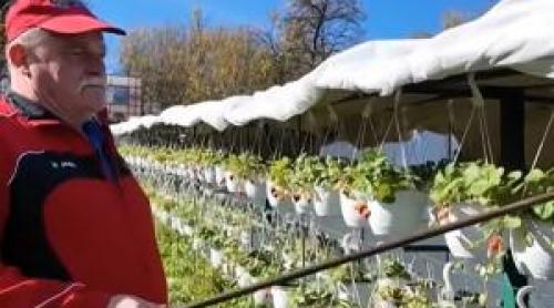 Afacerea de vis a unui bărbat din Cluj. Cu doar 2.000 de lei şi a transformat curtea într o grădină suspendată