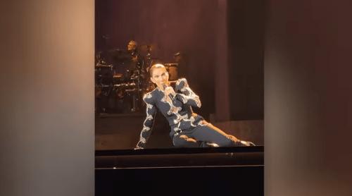 Celine Dion a căzut pe scenă în timpul unui concert la Paris. Gestul făcut ulterior de artistă