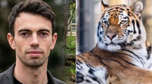 Cine era tânărul care a murit după ce a intrat în țarcul unui tigru! William Chapman a jucat în producții BBC și ITV | VIDEO