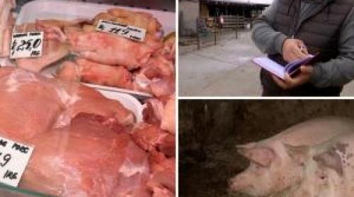 Cu cât vinde un fermier porcii de 120 de kilograme. "Putem să le dăm şi la sfert"