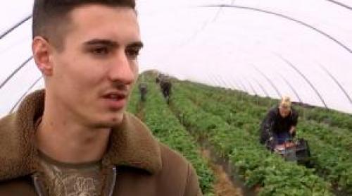 Fructele de vară care se culeg la final de toamnă în România. Un kilogram costă 40 de lei