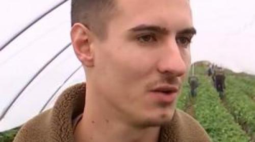 Fructul românesc de vară care se vinde cu 40 de lei/kg în prag de noiembrie. Fermierii culeg tone zilnic