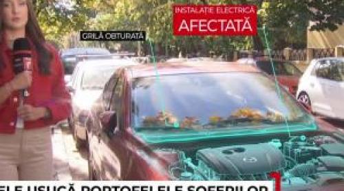Greşeala banală care poate trimite maşina în service şi costa mii de euro: "În fiecare zi se pun"