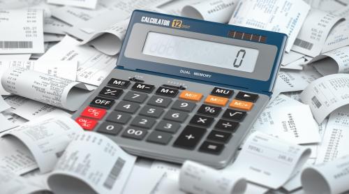 O gospodărie cheltuiește lunar 8.650 de lei, adică 84,8% din venituri