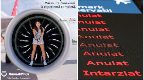 Prăbușirea AnimaWings: cum a ajuns Simona Halep imaginea companiei aviatice care a păgubit zeci de mii de români cu milioane de euro. Exclusiv