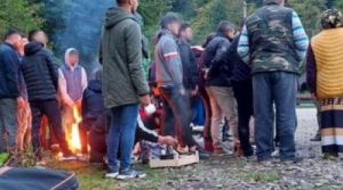 Românii "au invadat" pădurile Poloniei în căutarea unei delicatese care se vinde pe bani frumoși
