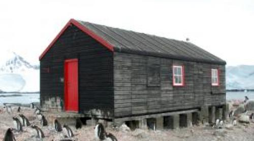 Salariu de 2.500 €, cu masă şi cazare incluse, ca să numeri pinguini în Antarctica. Condiţia greu de acceptat