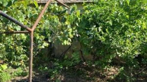 Satul din România unde se vinde o proprietate cu două case, două anexe și 1.500 mp de teren, la 56.200 de lei