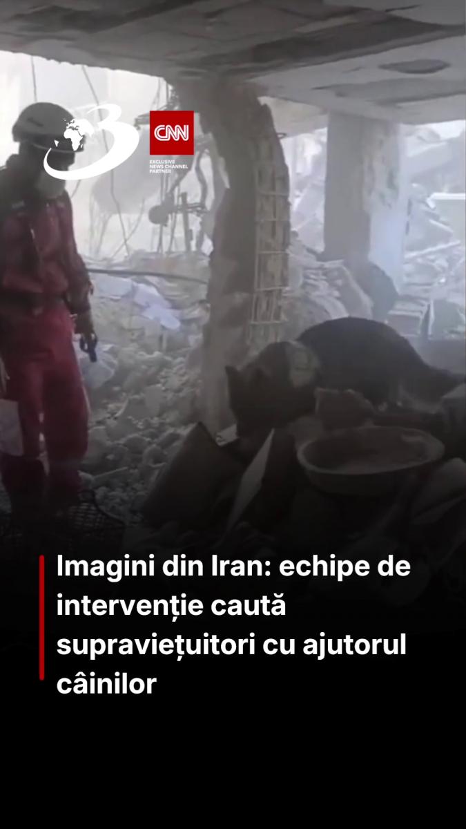Imagini din Iran: echipe de intervenție caută supraviețuitori cu ajutorul câinilor