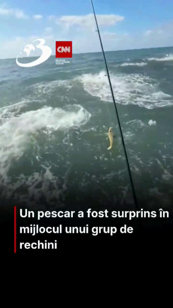 Un pescar a fost surprins în mijlocul unui grup de rechini