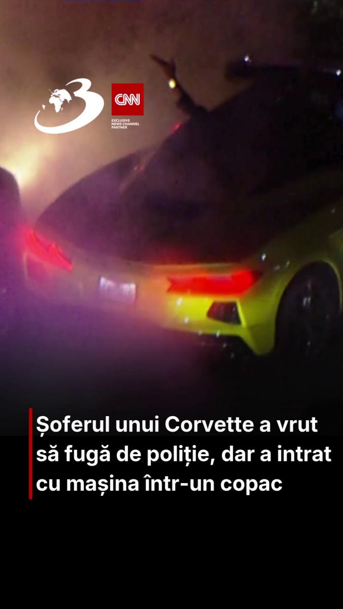Șoferul unui Corvette a vrut să fugă de poliție, dar a intrat cu mașina într-un copac
