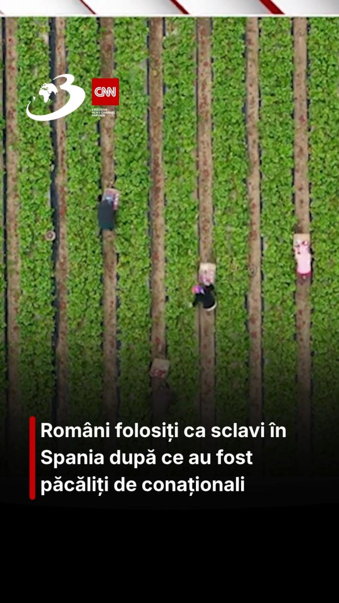 Români folosiți ca sclavi în Spania după ce au fost păcăliți de conaționali