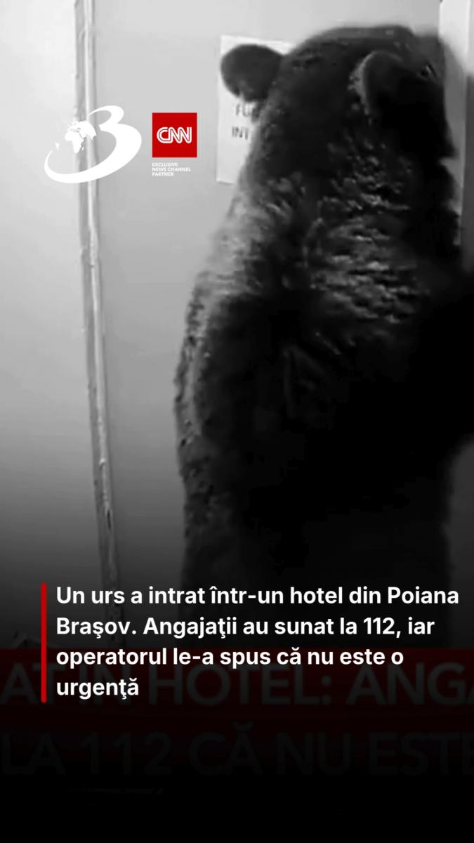 Un urs a intrat într-un hotel din Poiana Braşov. Angajaţii au sunat la 112, iar operatorul le-a spus că nu este o urgenţă