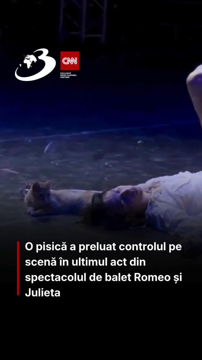 O pisică a preluat controlul pe scenă în ultimul act din spectacolul de balet Romeo și Julieta