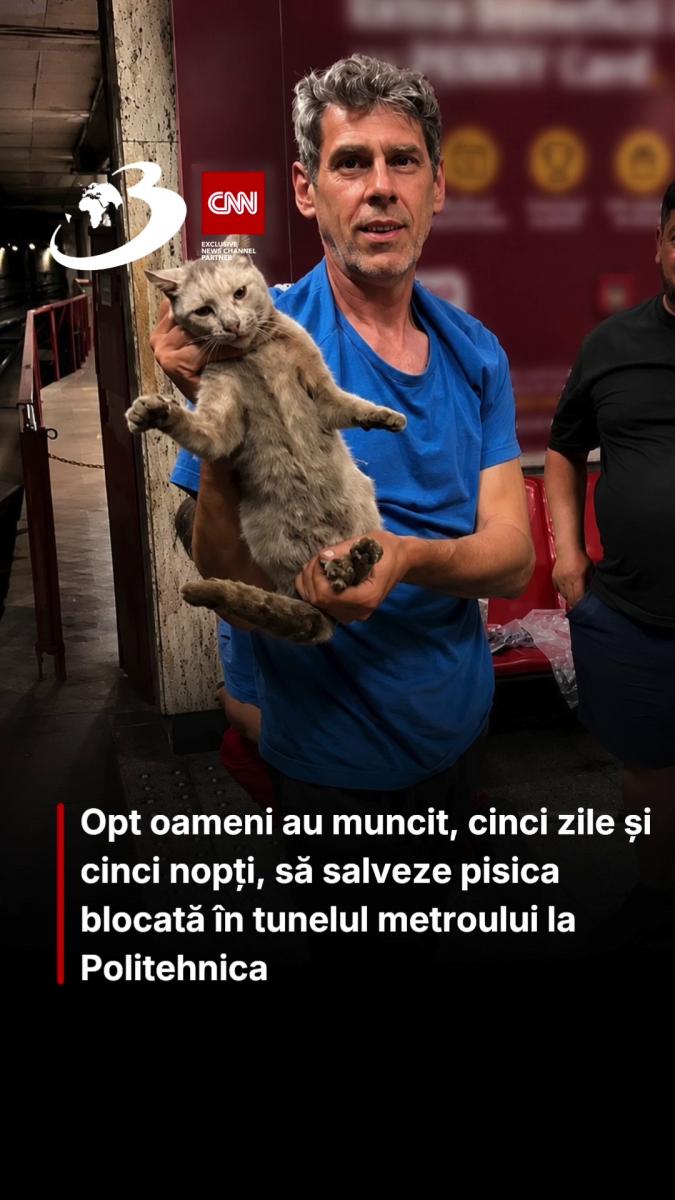Opt oameni au muncit, cinci zile și cinci nopți, să salveze pisica blocată în tunelul metroului la Politehnica