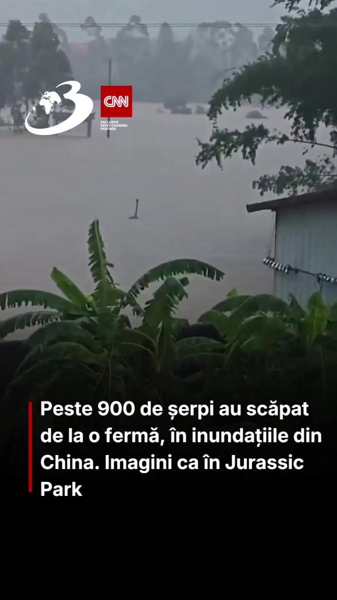 Peste 900 de șerpi au scăpat de la o fermă, în inundațiile din China. Imagini ca în Jurassic Park