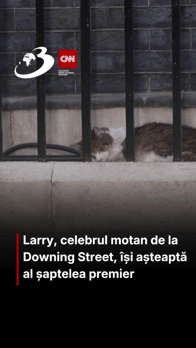 Larry, celebrul motan de la Downing Street, își așteaptă al șaptelea premier 