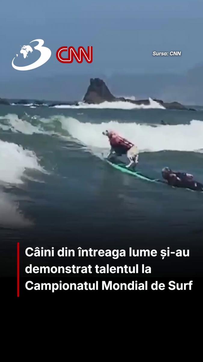 Câini din întreaga lume și-au demonstrat talentul la Campionatul Mondial de Surf