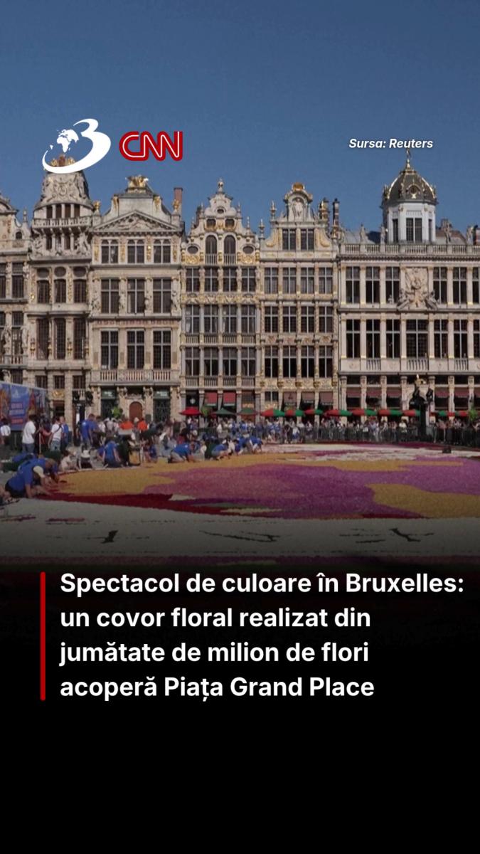 Spectacol de culoare în Bruxelles: un covor floral realizat din jumătate de milion de flori acoperă Piața Grand Place