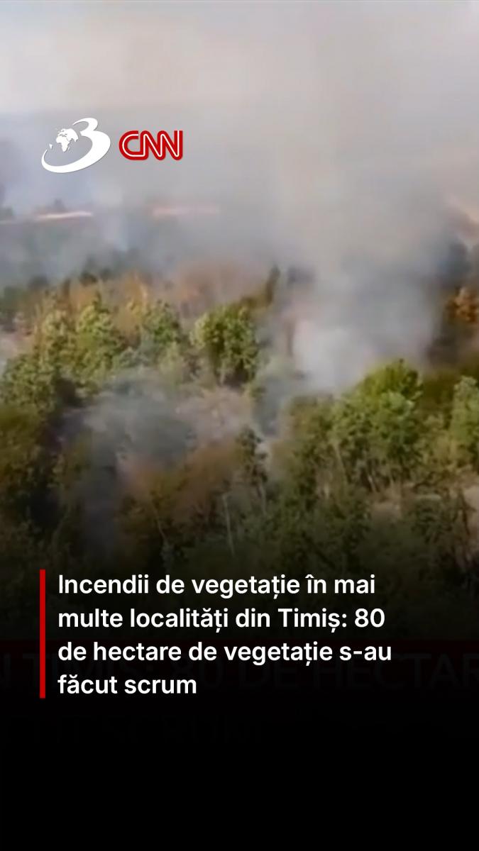 Incendii de vegetație în mai multe localități din Timiș: 80 de hectare de vegetație s-au făcut scrum