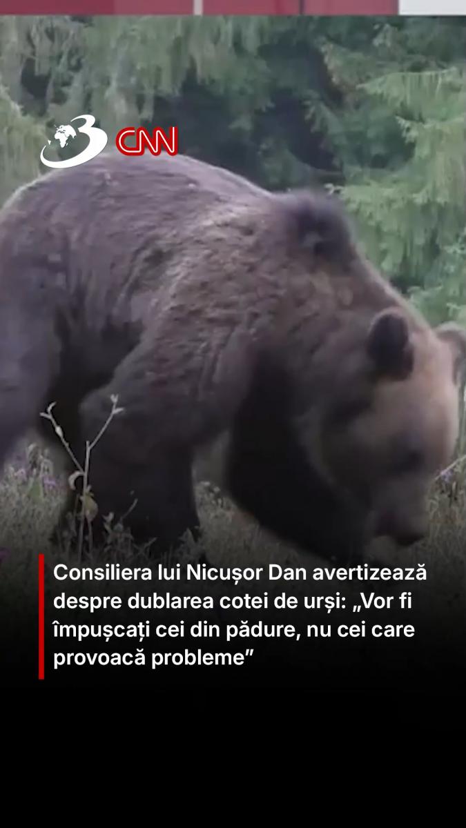 Consiliera lui Nicușor Dan avertizează despre dublarea cotei de urși: „Vor fi împușcați cei din pădure, nu cei care provoacă probleme”