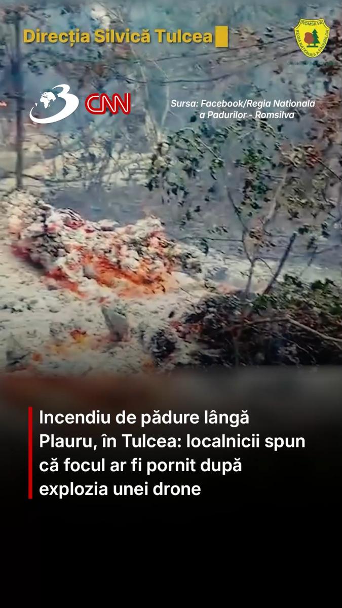 Incendiu de pădure lângă Plauru, în Tulcea: localnicii spun că focul ar fi pornit după explozia unei drone