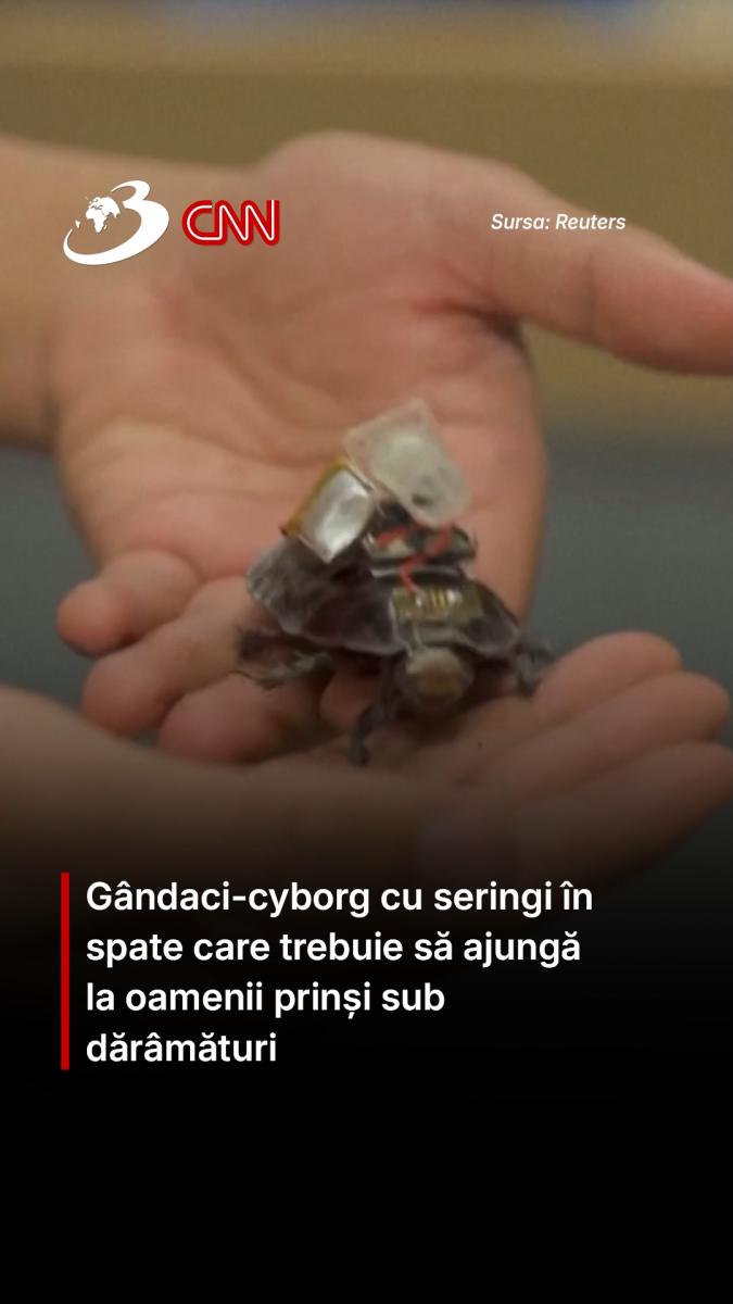 Gândaci-cyborg cu seringi în spate care trebuie să ajungă la oamenii prinși sub dărâmături