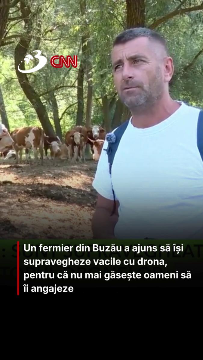 Un fermier din Buzău a ajuns să își supravegheze vacile cu drona, pentru că nu mai găsește oameni să îi angajeze