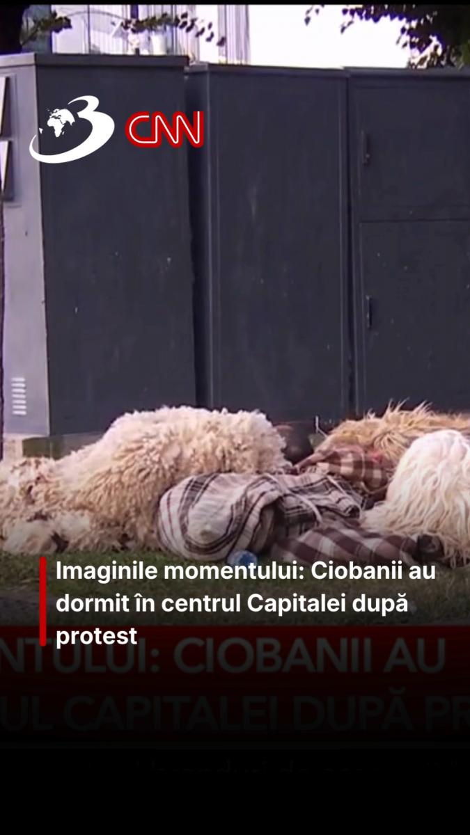 Imaginile momentului: Ciobanii au dormit în centrul Capitalei după protest