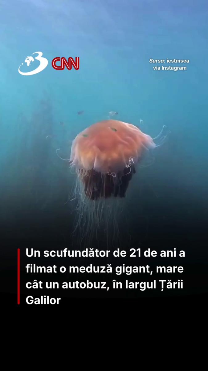 Un scufundător de 21 de ani a filmat o meduză gigant, mare cât un autobuz, în largul Țării Galilor