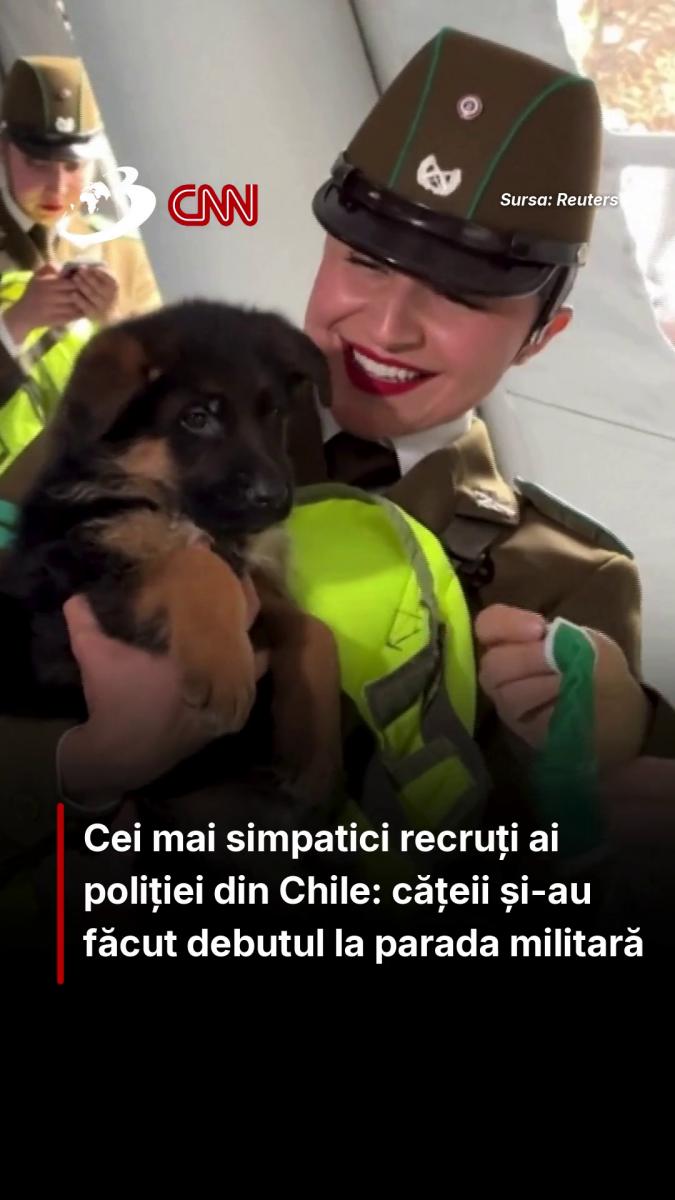 Cei mai simpatici recruți ai poliției din Chile: cățeii și-au făcut debutul la parada militară