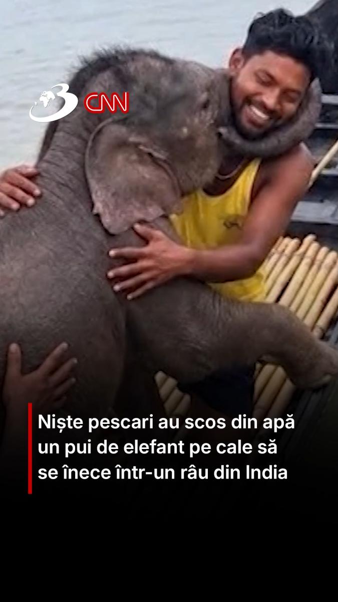 Niște pescari au scos din apă un pui de elefant pe cale să se înece într-un râu din India