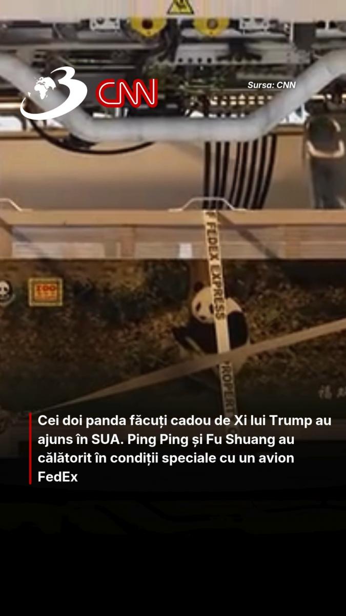 Cei doi panda făcuți cadou de Xi lui Trump au ajuns în SUA. Ping Ping și Fu Shuang au călătorit în condiții speciale cu un avion FedEx