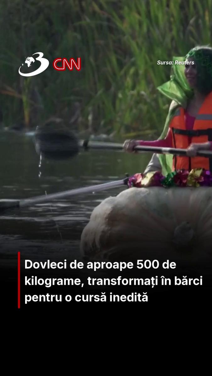 Dovleci de aproape 500 de kilograme, transformați în bărci pentru o cursă inedită