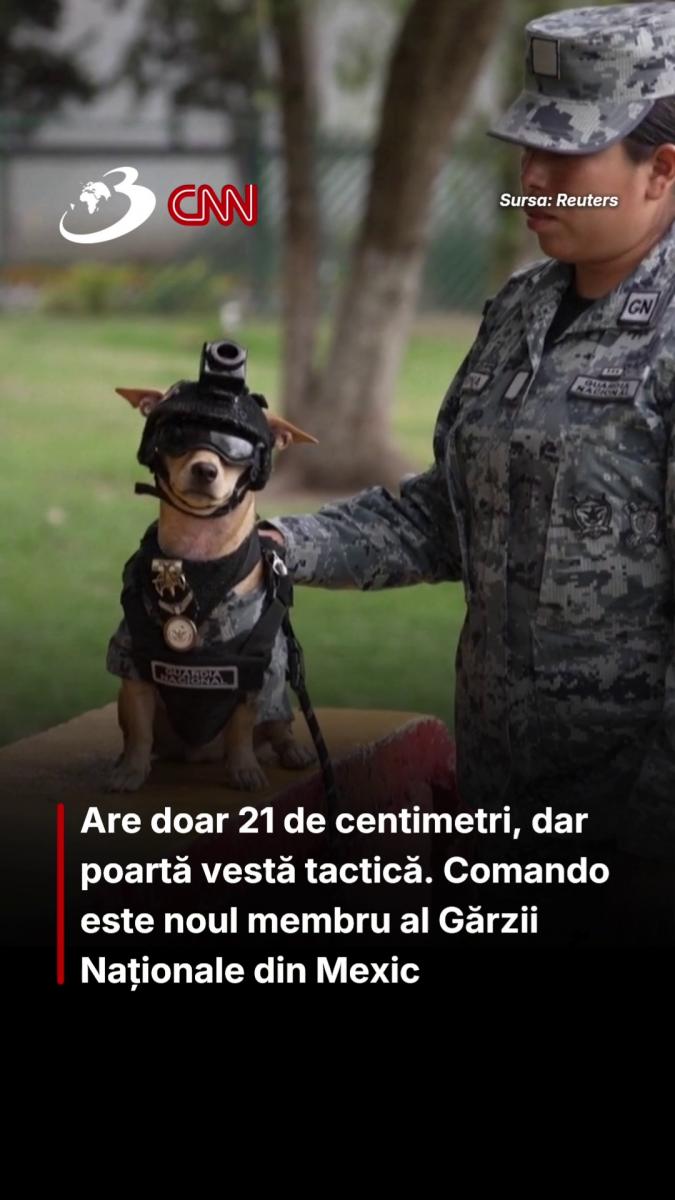 Are doar 21 de centimetri, dar poartă vestă tactică. Comando este noul membru al Gărzii Naționale din Mexic