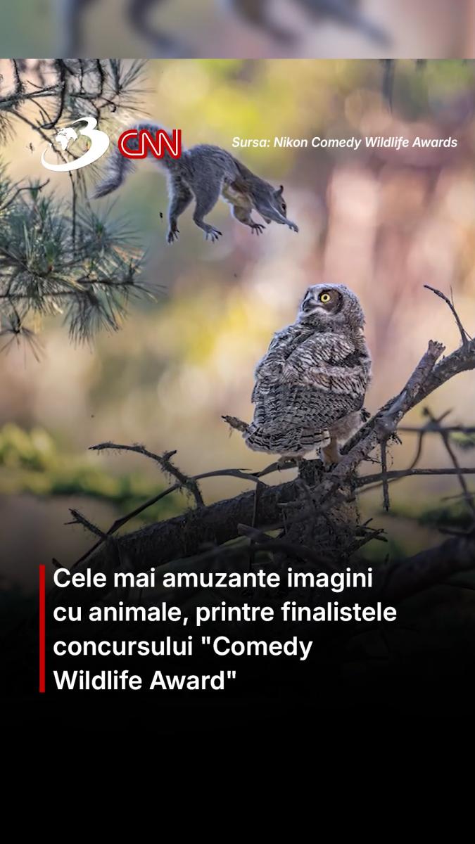 Cele mai amuzante imagini cu animale, printre finalistele concursului 