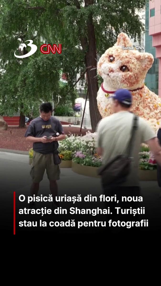 O pisică uriașă din flori, noua atracție din Shanghai. Turiștii stau la coadă pentru fotografii