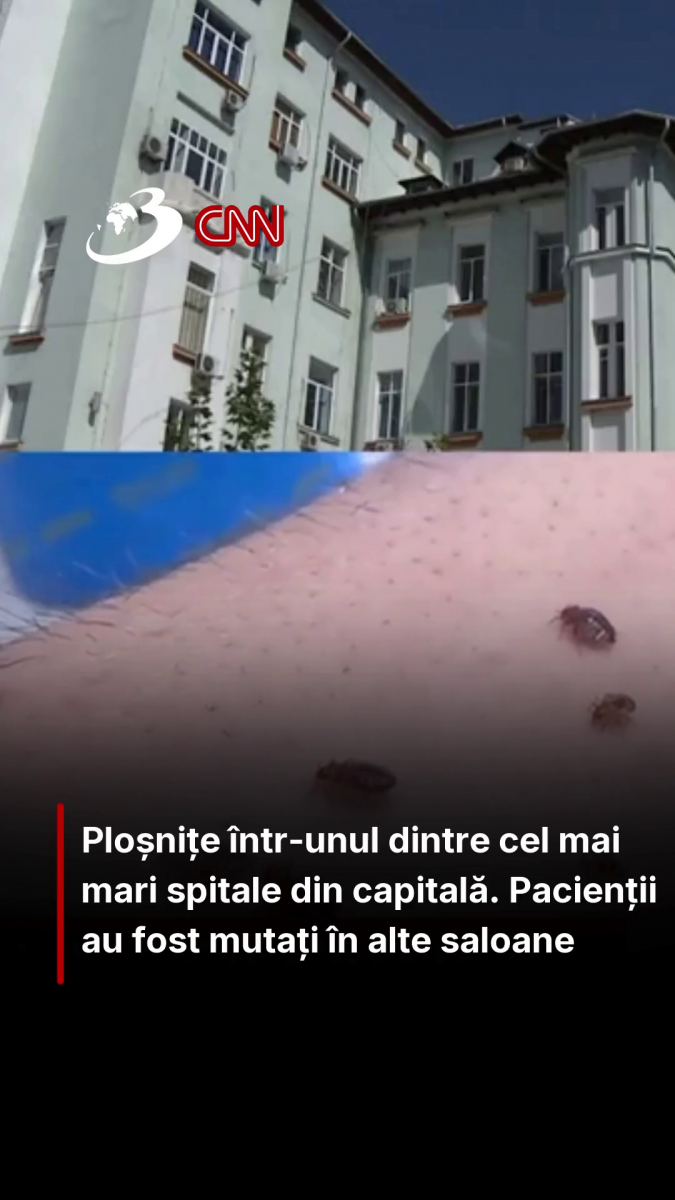Ploșnițe într-unul dintre cel mai mari spitale din capitală. Pacienții au fost mutați în alte saloane