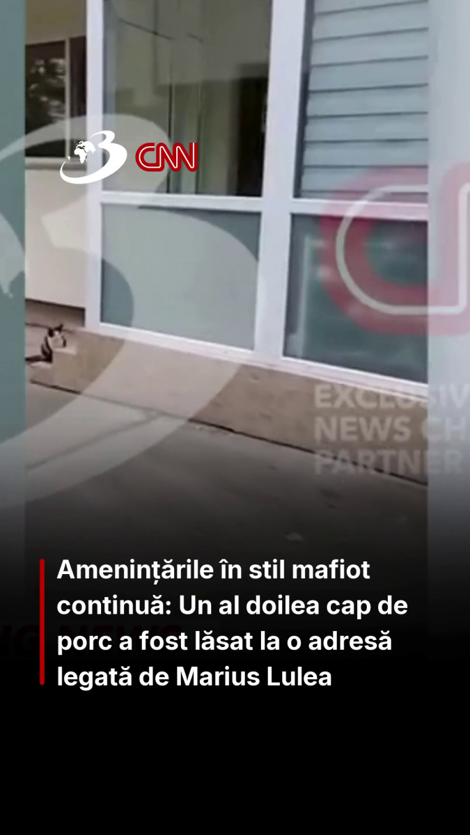 Amenințările în stil mafiot continuă: Un al doilea cap de porc a fost lăsat la o adresă legată de Marius Lulea