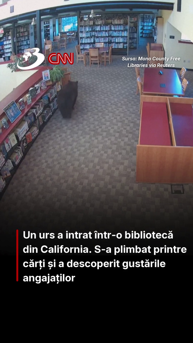 Vizitator neobișnuit într-o bibliotecă din SUA: un urs s-a plimbat printre rafturile cu cărți și a dat iama în gustările angajaților