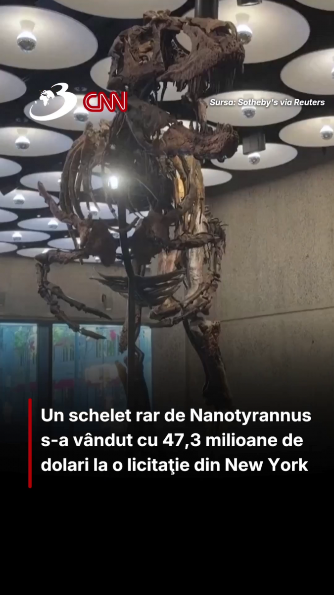 Un schelet rar de Nanotyrannus s-a vândut cu 47,3 milioane de dolari la o licitaţie din New York