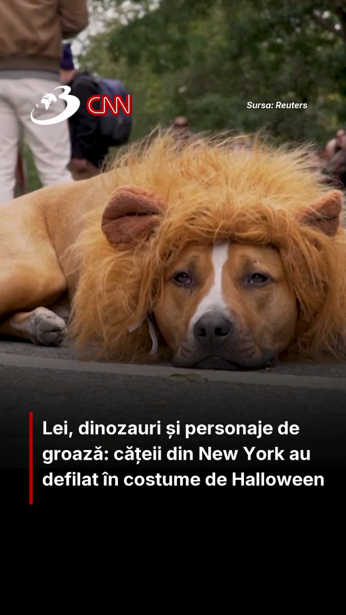 Lei, dinozauri și personaje de groază: cățeii din New York au defilat în costume de Halloween