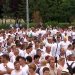 Miting PSD. Mobilizare masivă: Sute de mii de oameni la miting. Membrii Guvernului au ieșit din Palatul Victoria (FOTO+VIDEO) 532214