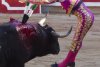 Doi oameni au fost răniţi în cursa cu tauri de la Pamplona. Vezi foto  101230